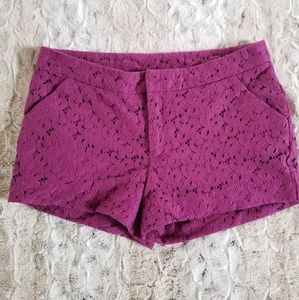 Nicole by Nicole Miller Lace Shorts